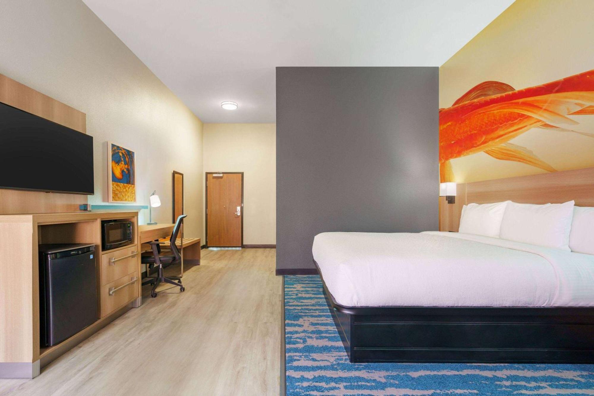 La Quinta Inn & Suites By Wyndham San Antonio Seaworld Lafb Екстер'єр фото