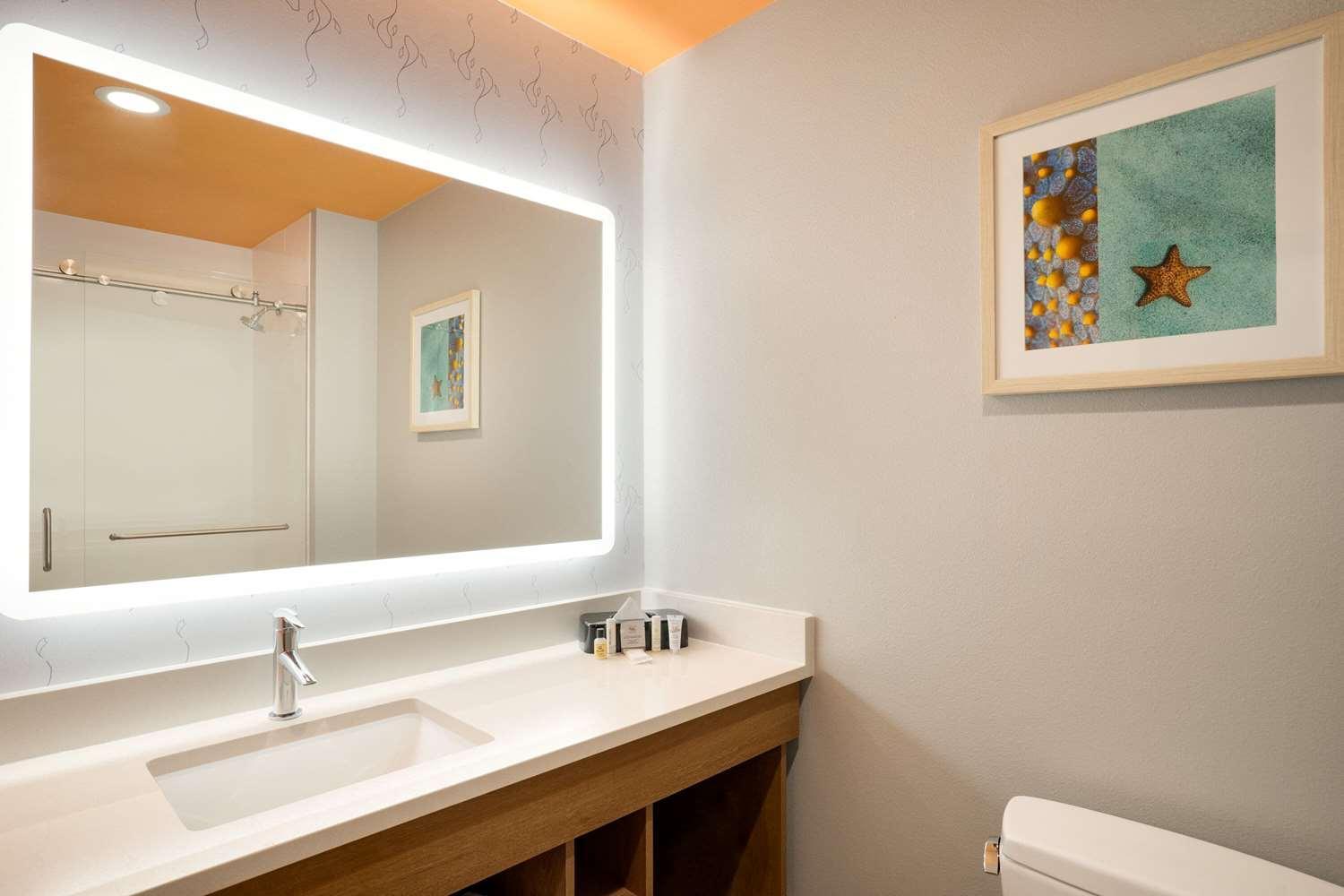 La Quinta Inn & Suites By Wyndham San Antonio Seaworld Lafb Екстер'єр фото